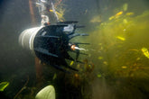 AquatiClear by Kasco water circulator